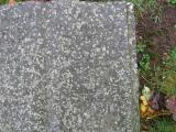 image of grave number 711236